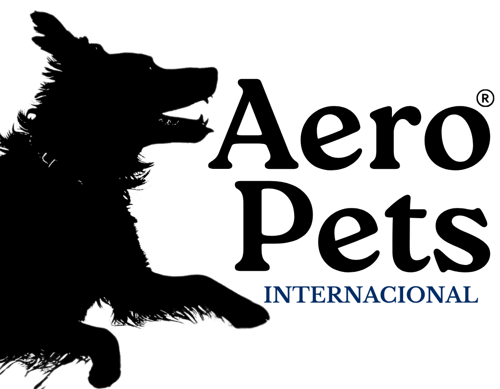 internacional