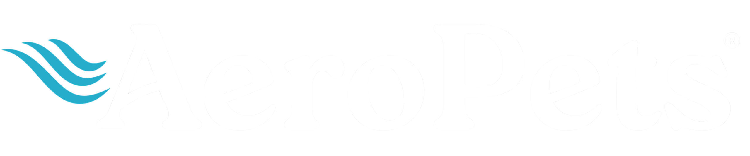 Internacional