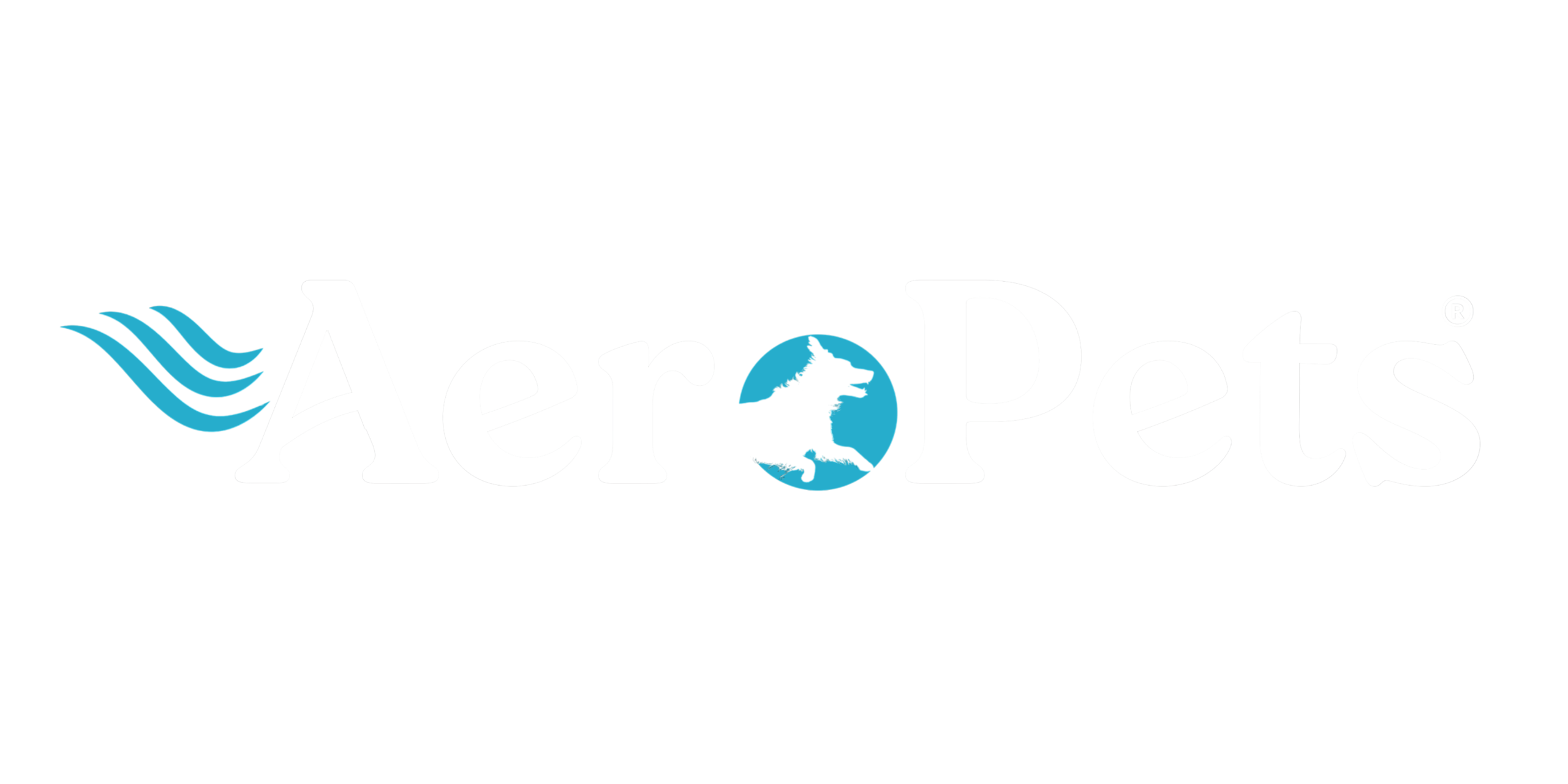 AP INTERNACIONAL