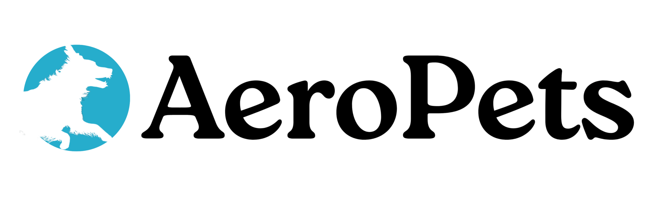 logo horizontal white trnsp