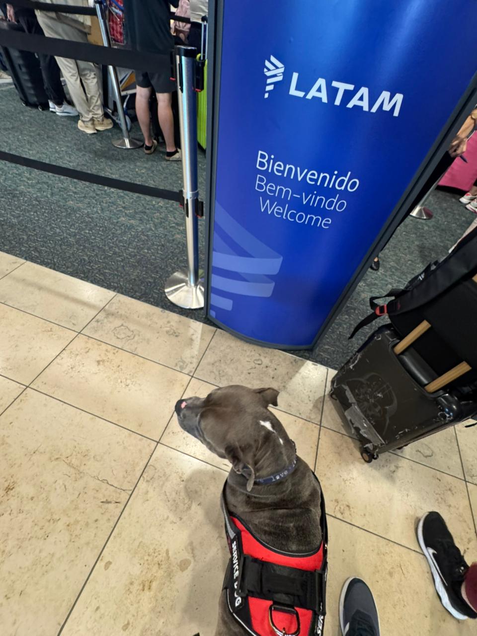 NINA EN EL COUNTER