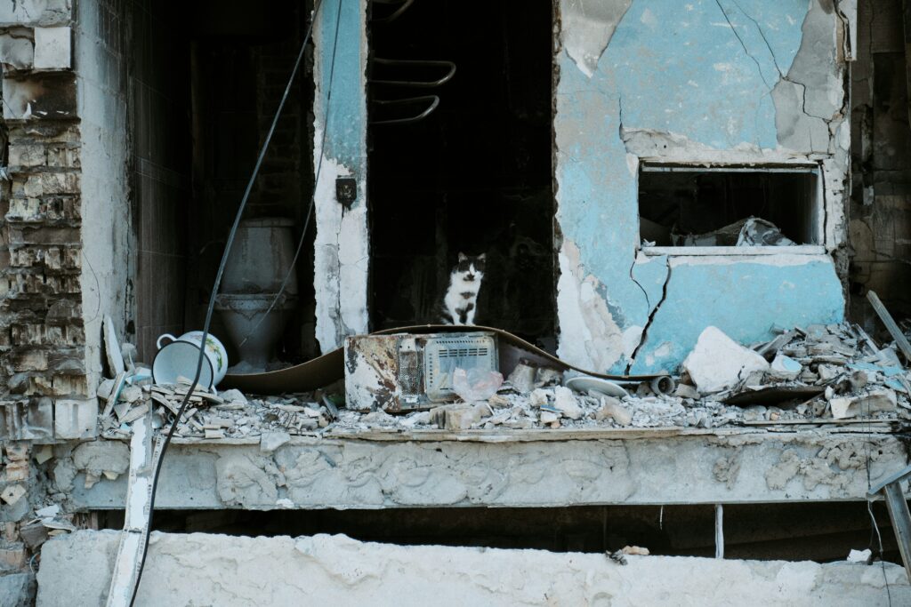alex fedorenko b30tv9b3a4m unsplash