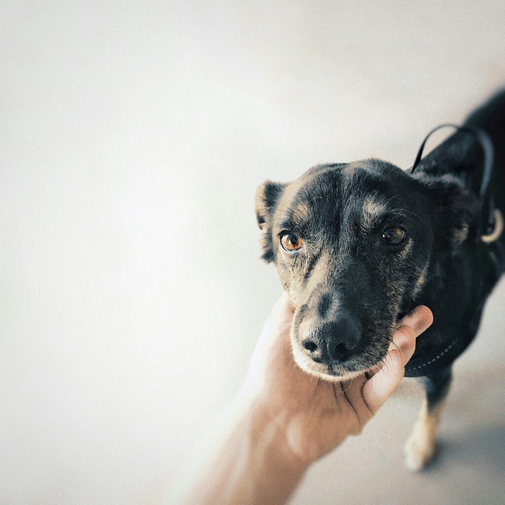pavel nekoranec ny6uwhdu4fq unsplash