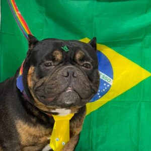 Viaje de mascotas Brasil Colombia: Roncho