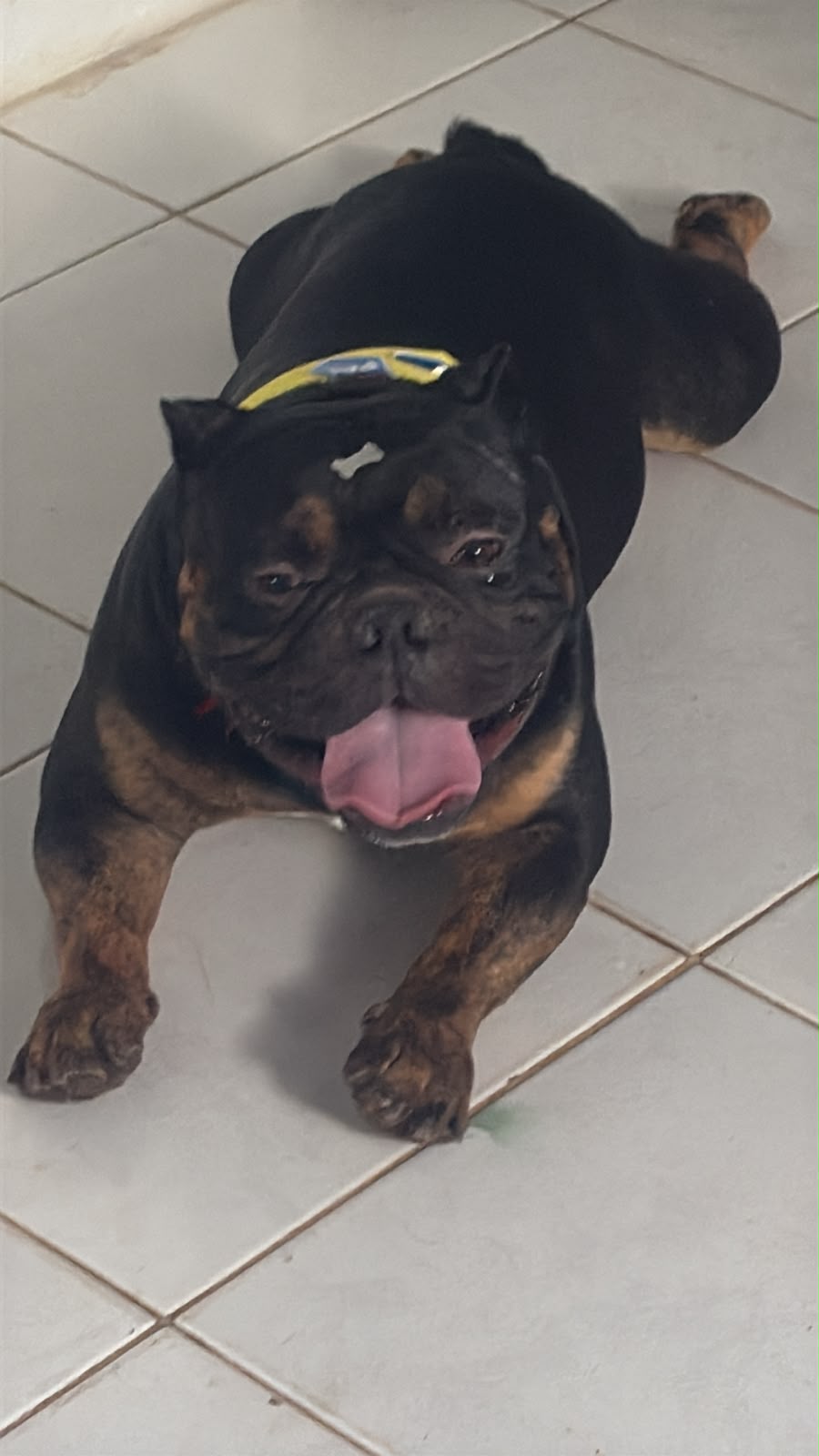 RONCHO EN ESPERA