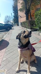 Luna y Coral, una nueva vida en Madrid, España.