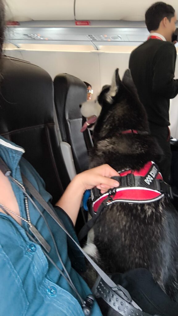 AVIANCA CON PERRO DE SERVICIO