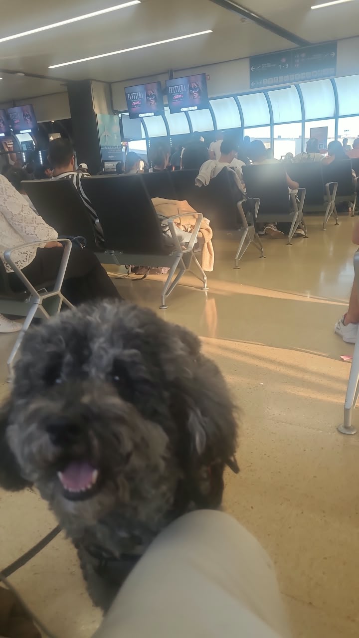 EN sala de espera