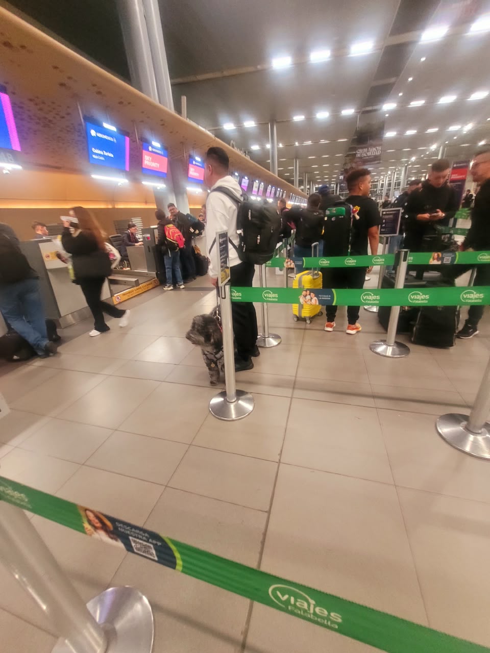Counter Aeromexico