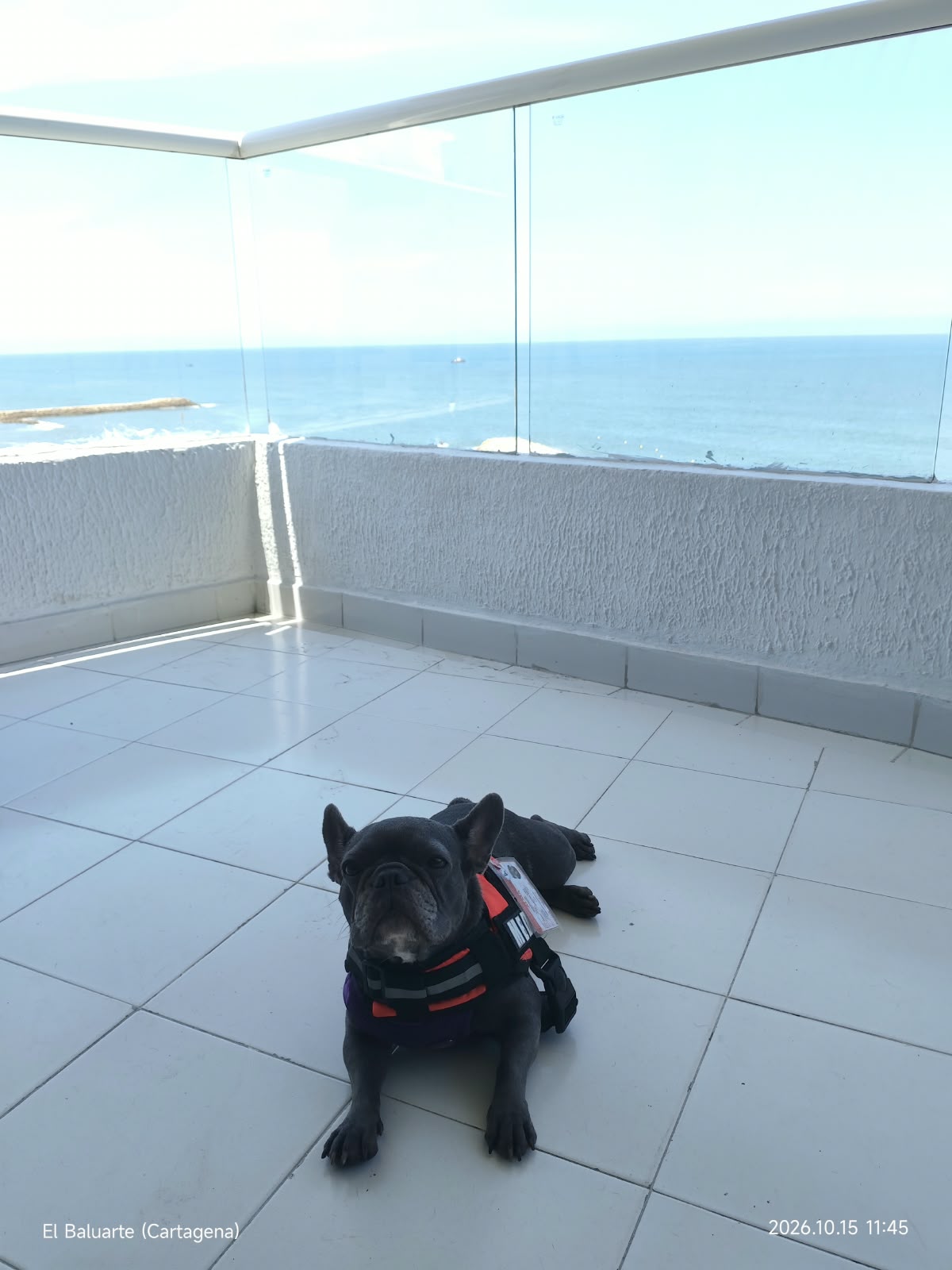 alma en cartagena