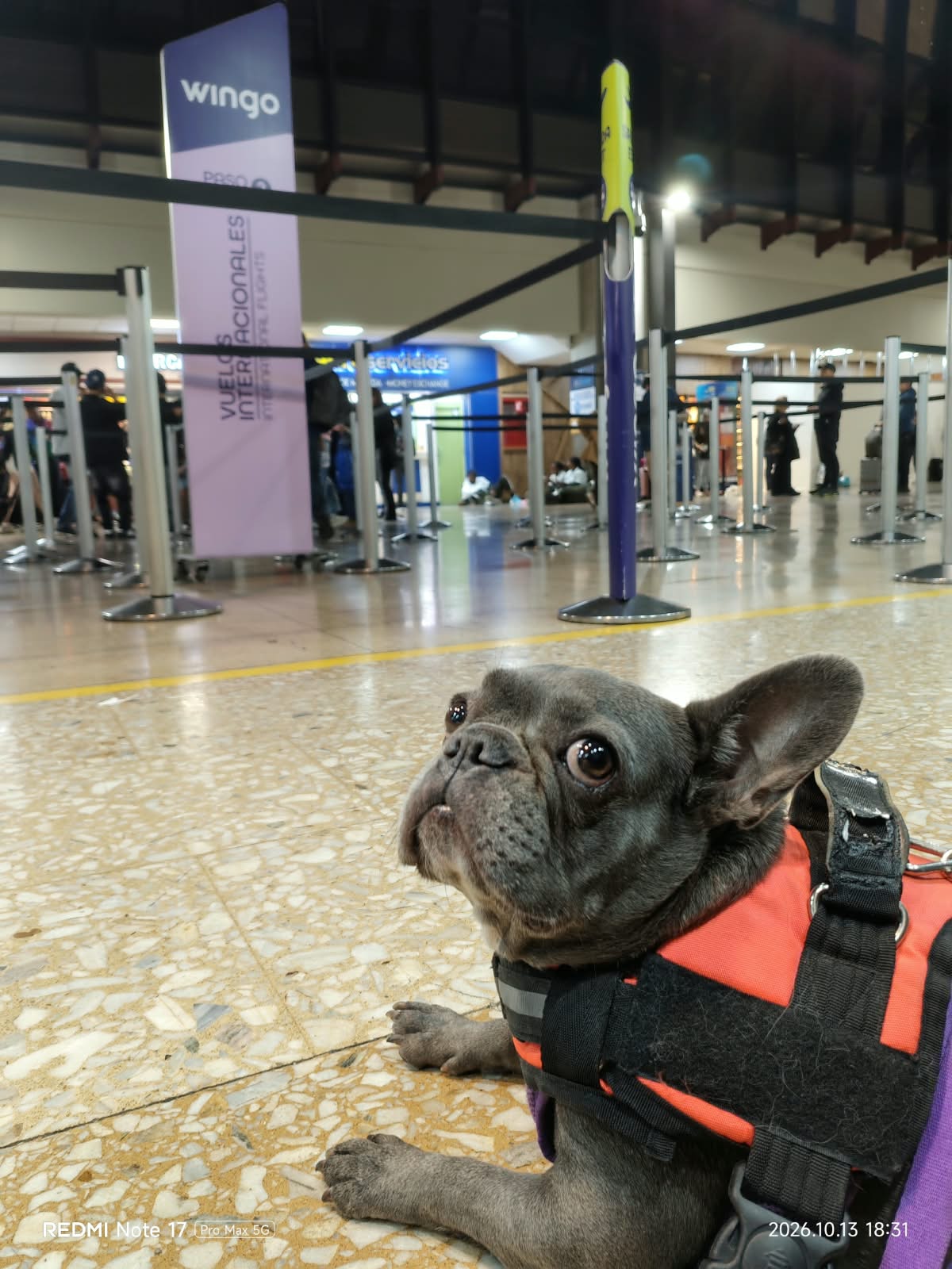 alma en el aeropuerto