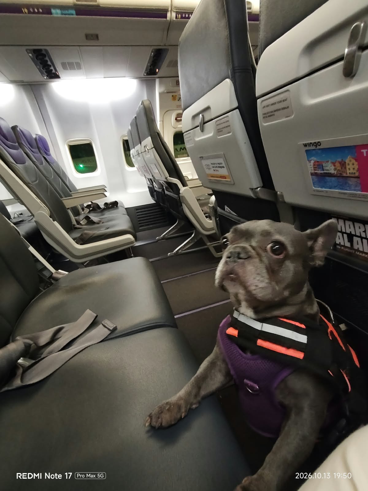 alma en el avion