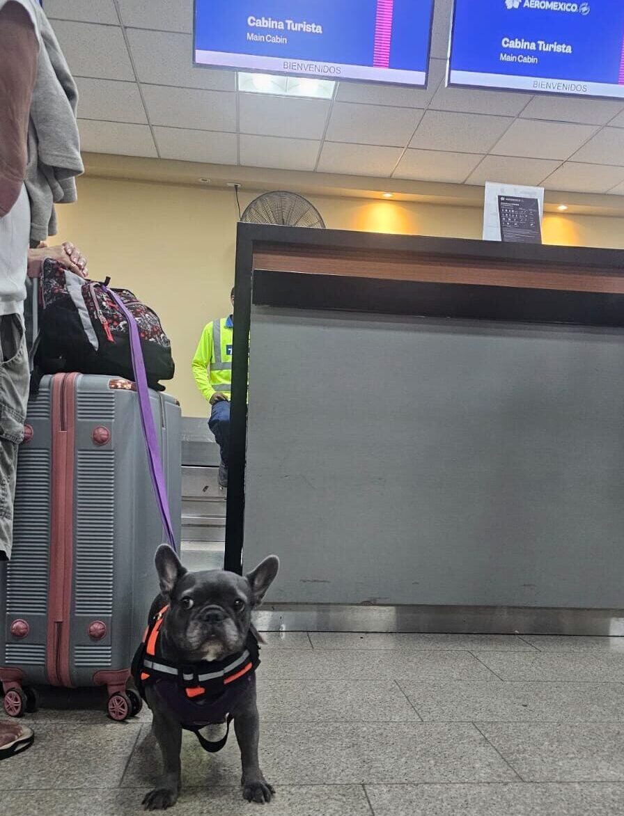 alma en el counter